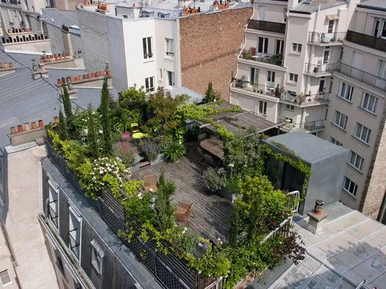 城市屋顶绿化工程