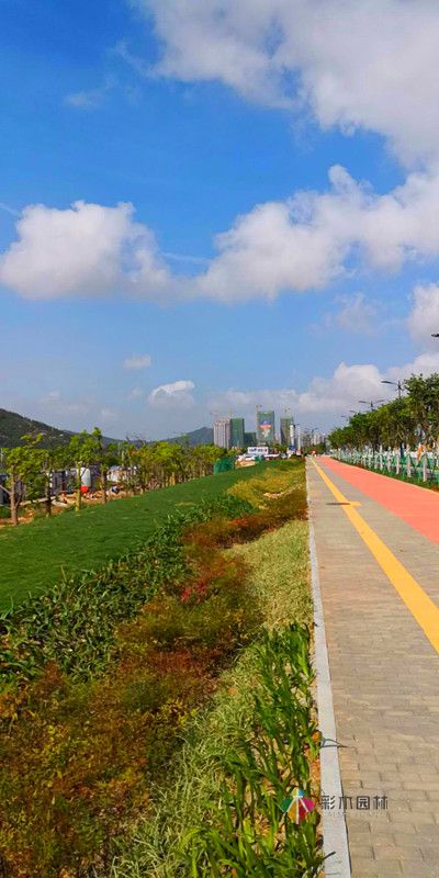 2017广东珠海城市道路绿化工程