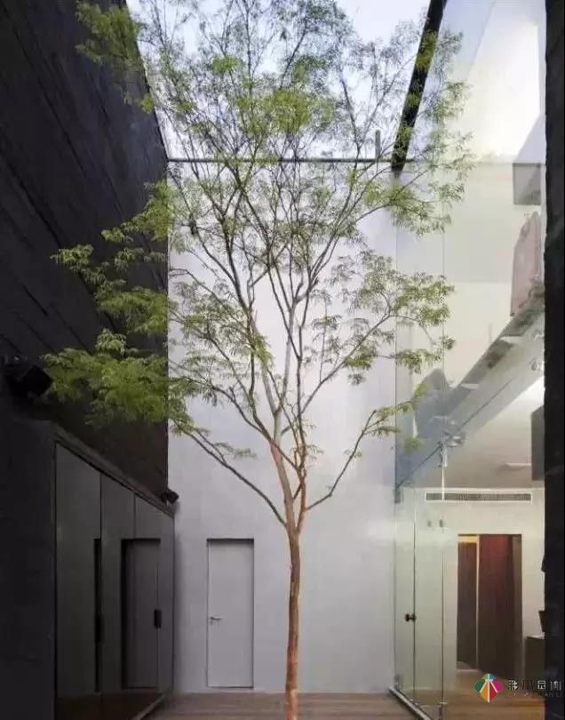 让人心动的庭院设计,可不可以不要这么美