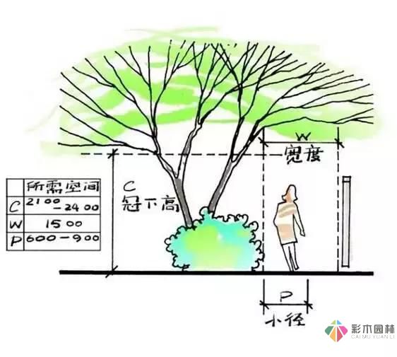 把握花园设计要素,建造实用私家花园