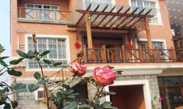 农村自建房自己设计,彩木园林打造花园别墅,完美庭院