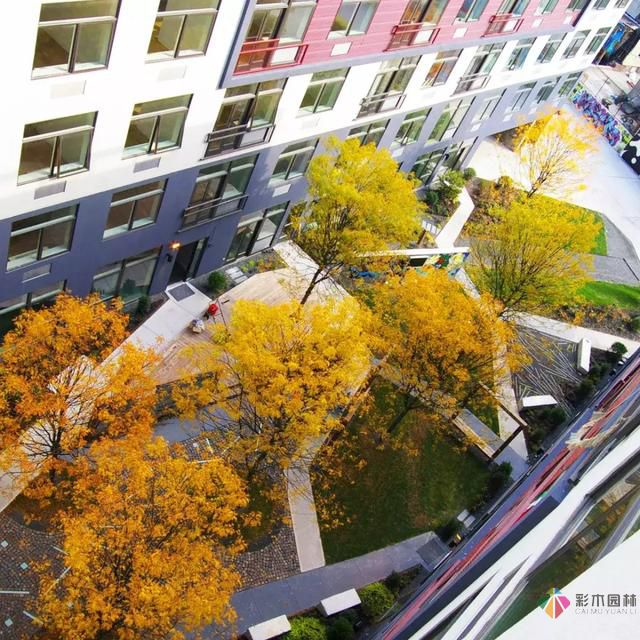 如何在狭小的空间内进行景观设计?