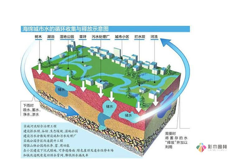 海绵城市建设理念下的市政道路设计技术指导