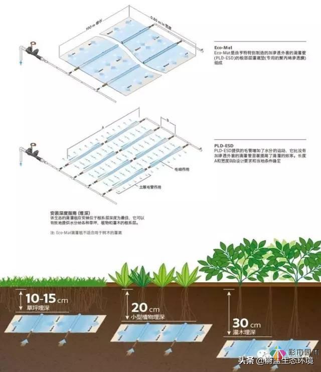 屋顶花园设计规范及植物配置！值得珍藏