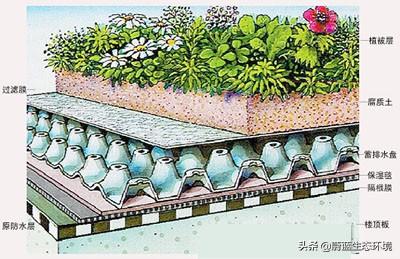 屋顶花园设计规范及植物配置！值得珍藏