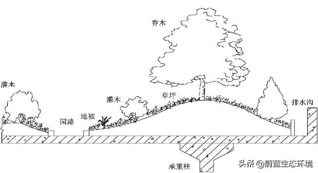 屋顶花园设计规范及植物配置！值得珍藏