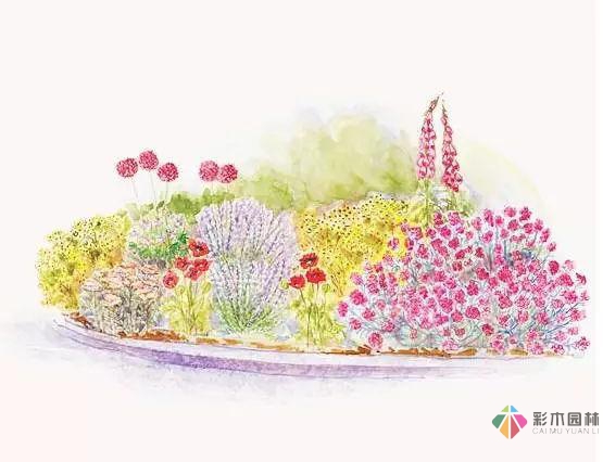 庭院花境园艺设计和植物搭配需要哪些要求?