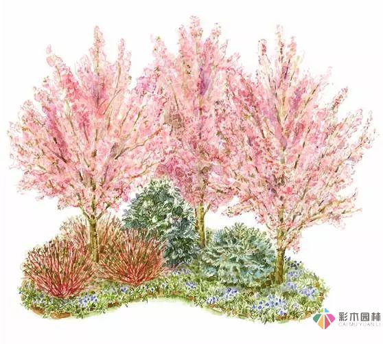 庭院花境园艺设计和植物搭配需要哪些要求?