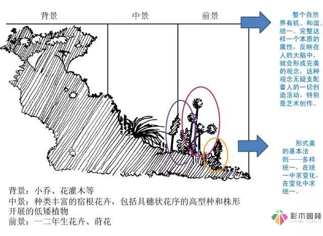 庭院花境园艺设计和植物搭配需要哪些要求?