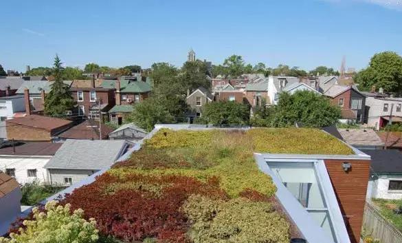 屋顶花园设计原则与规范，做屋顶花园设计的必看！