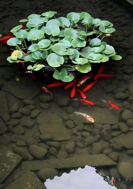 庭院花园设计怎么少的了水景？