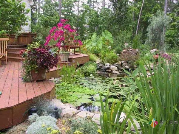 庭院花园设计怎么少的了水景？