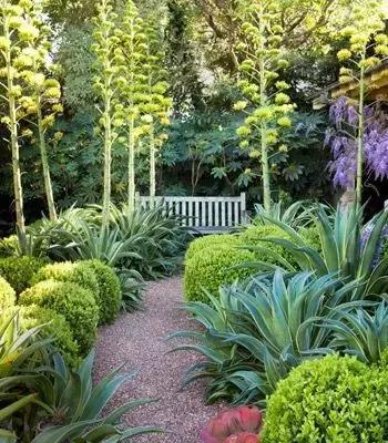 花园庭院设计中植物该怎么设计？