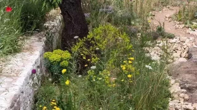 花园庭院设计中植物该怎么设计？