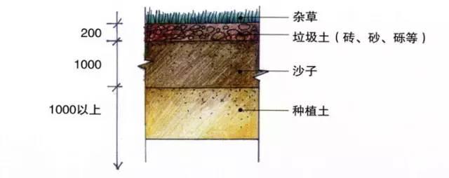 详细的花园庭院设计流程对你肯定有帮助！