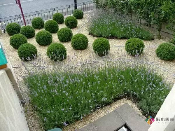 详细的花园庭院设计流程对你肯定有帮助！