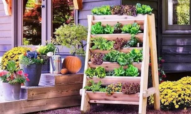 15个容器蔬菜花园设计看得我真的好想要！