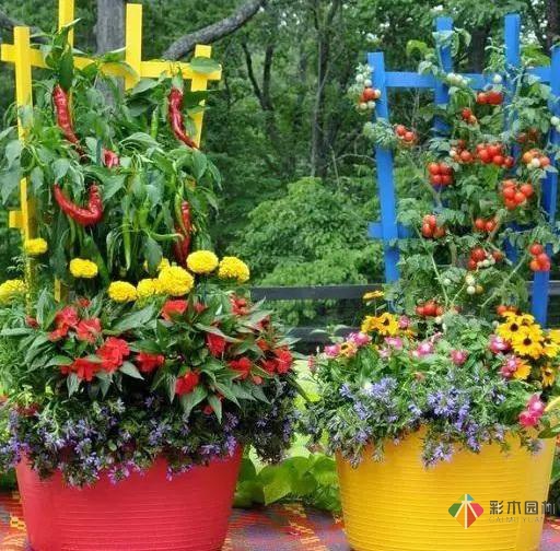 15个容器蔬菜花园设计看得我真的好想要！