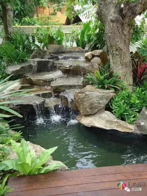花园水景设计和养护要点基本的都在这里了！