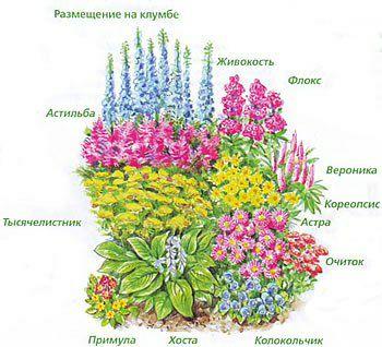 绘画花境设计对植物总是表现的四方面