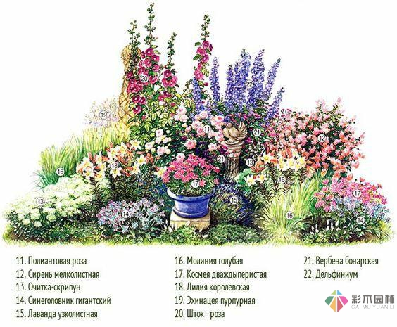 绘画花境设计对植物总是表现的四方面