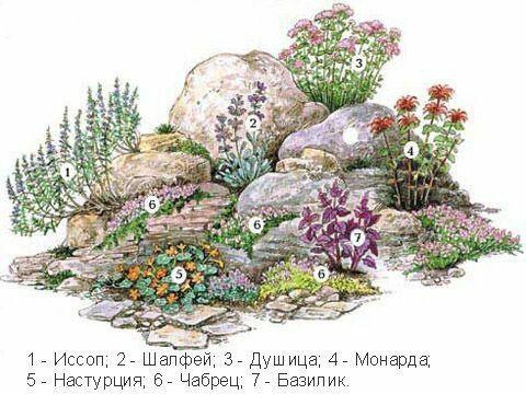 绘画花境设计对植物总是表现的四方面