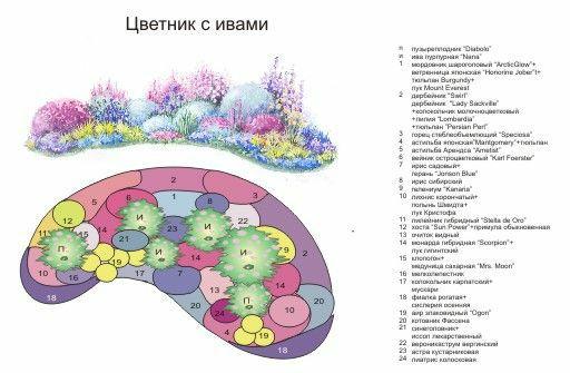 绘画花境设计对植物总是表现的四方面