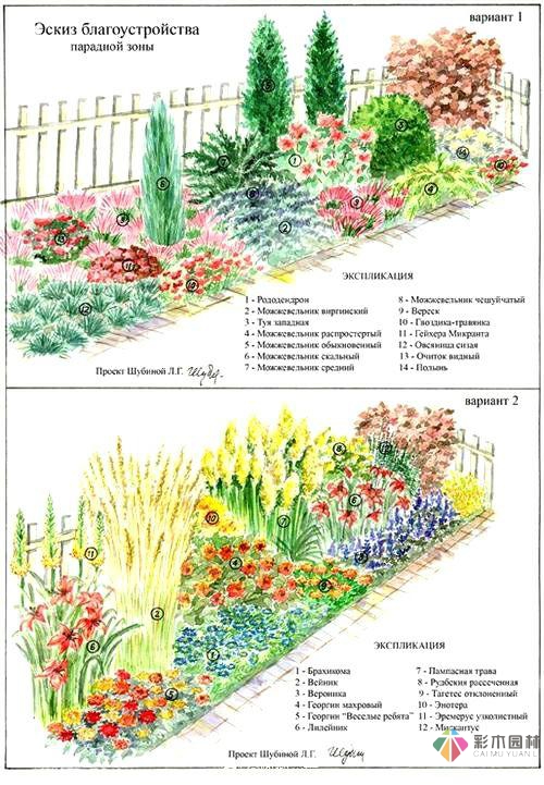 绘画花境设计对植物总是表现的四方面