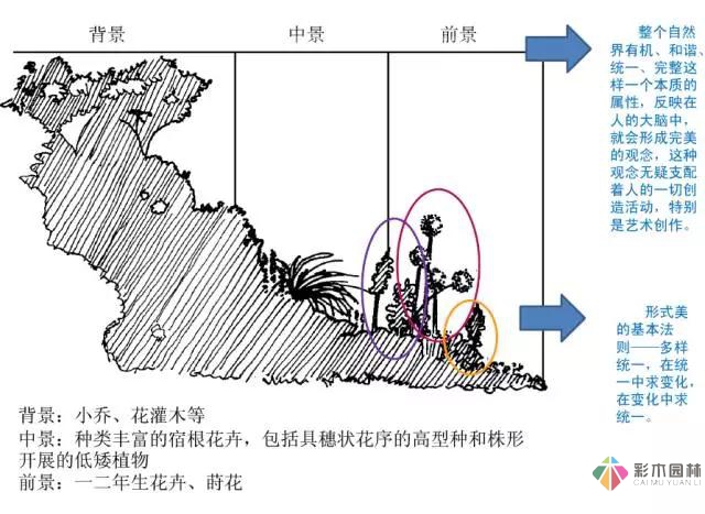 花园设计中该如何营造美丽的花境