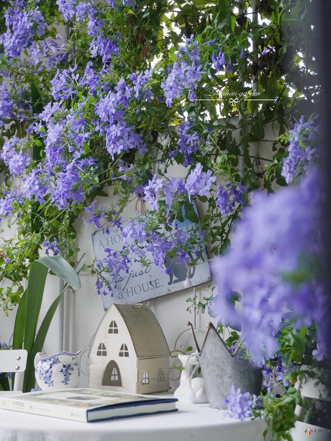 4㎡阳台花园改造，轻松打造背景花墙，享受种花乐趣。