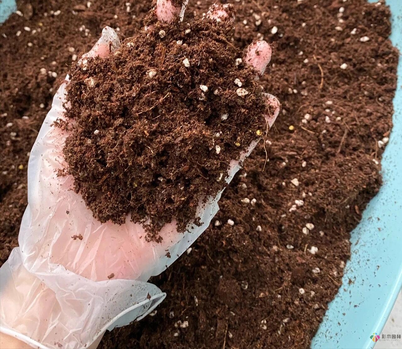 30㎡复式露台，种花种草打造“sky 花园”，折腾了一年多，