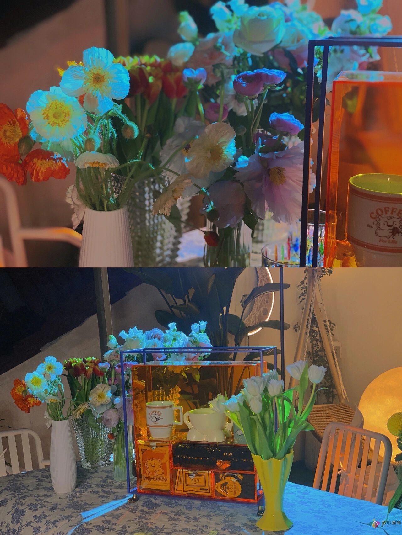 30㎡屋顶露台的改造，曾经被忽视的破阁楼，在宫崎骏其人变