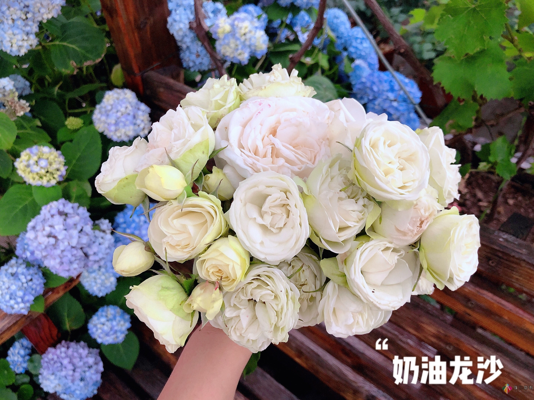 100㎡的复式露台，半花半菜，有诗意，有生活，如此惬意。