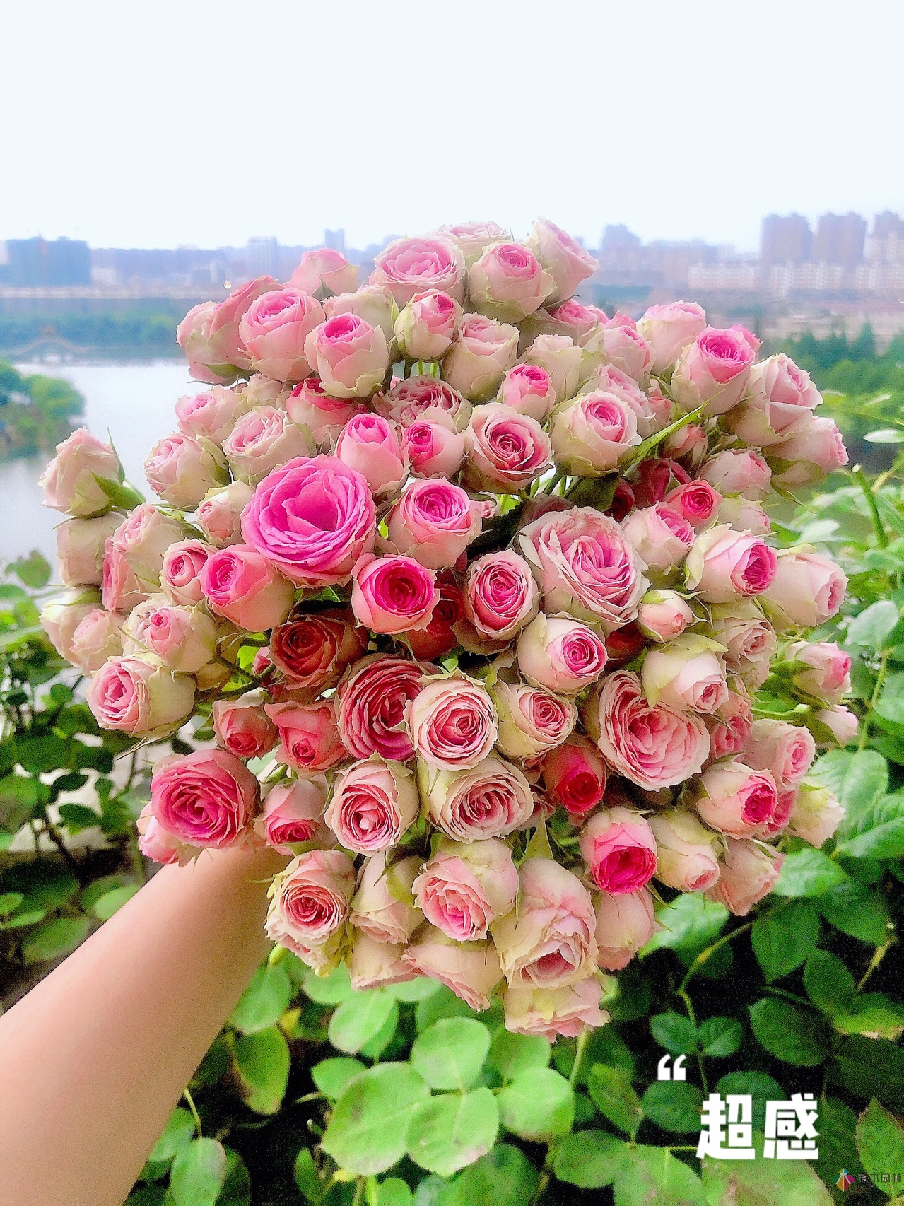 100㎡的复式露台，半花半菜，有诗意，有生活，如此惬意。