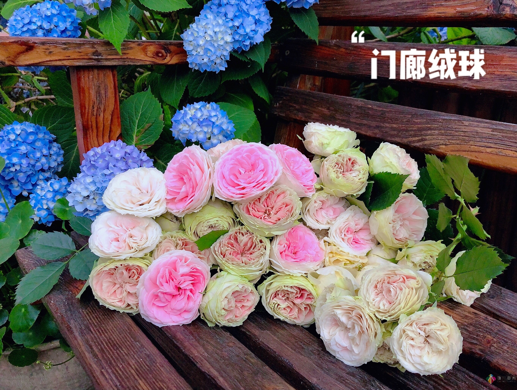100㎡的复式露台，半花半菜，有诗意，有生活，如此惬意。