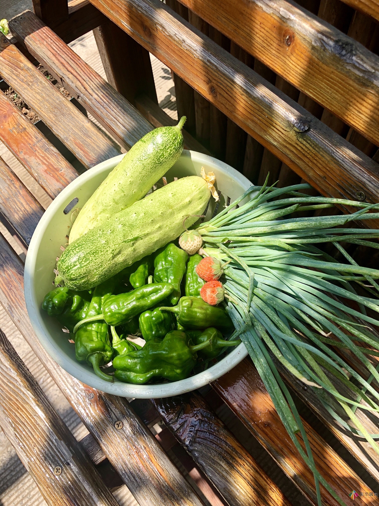 100㎡的复式露台，半花半菜，有诗意，有生活，如此惬意。