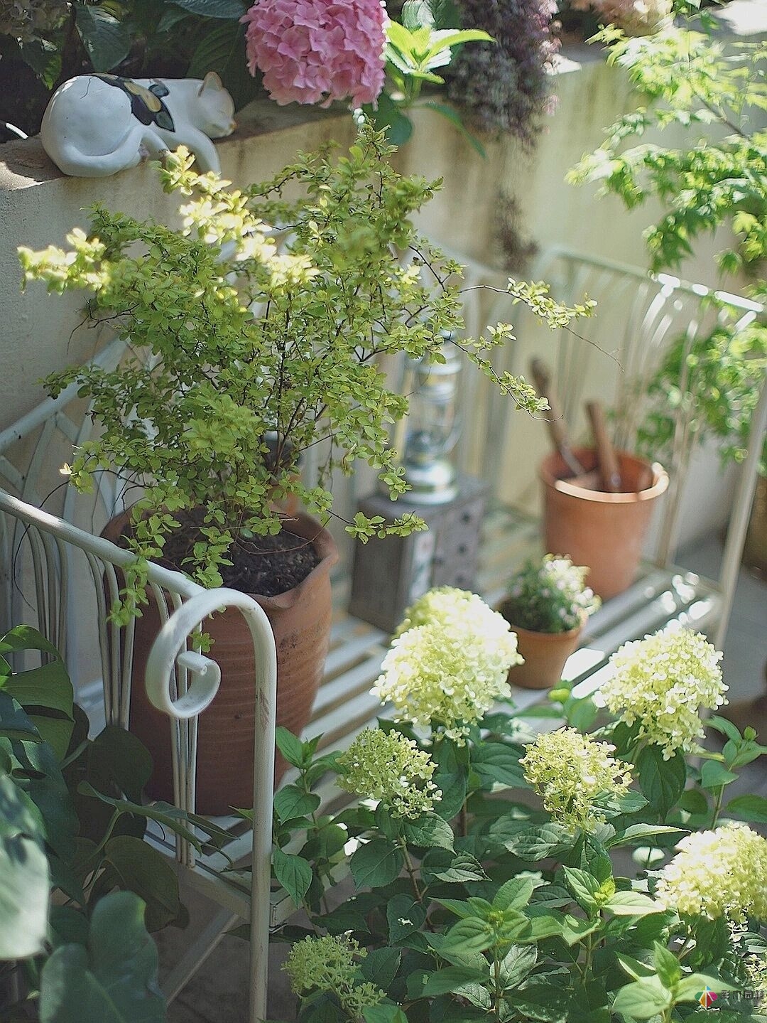 DIY园艺:自建设计100㎡花园。花不了多少钱，却很有成就感。