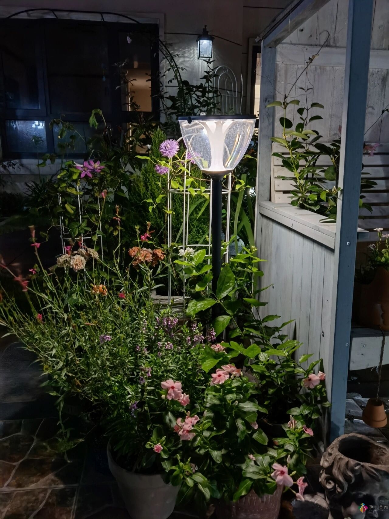 不顾父母反对,买了一层110㎡的院子,自己一个人折腾成花园。就这么治好了。