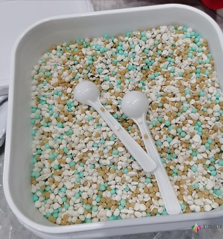 不顾父母反对,买了一层110㎡的院子,自己一个人折腾成花园。就这么治好了。
